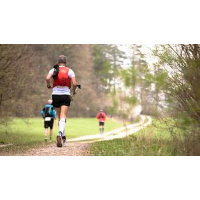 Arrangörens logotyp